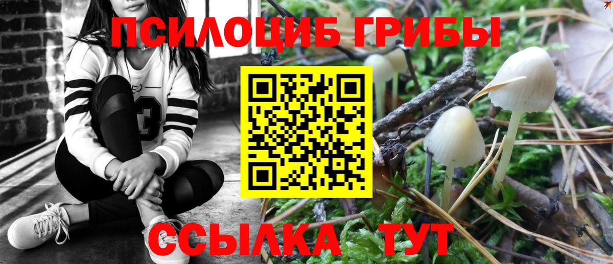 Псилоцибиновые грибы Magic Shrooms Будённовск