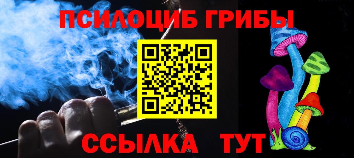 Будённовск  сколько стоит  Вход с VPN  Галлюциногенные грибы ЛСД 